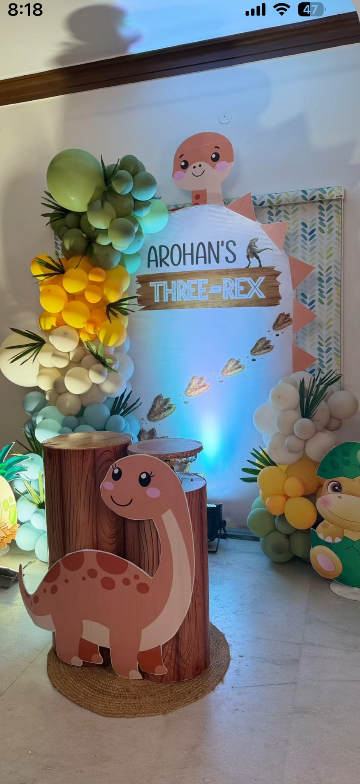 Simple animal birthday decoration