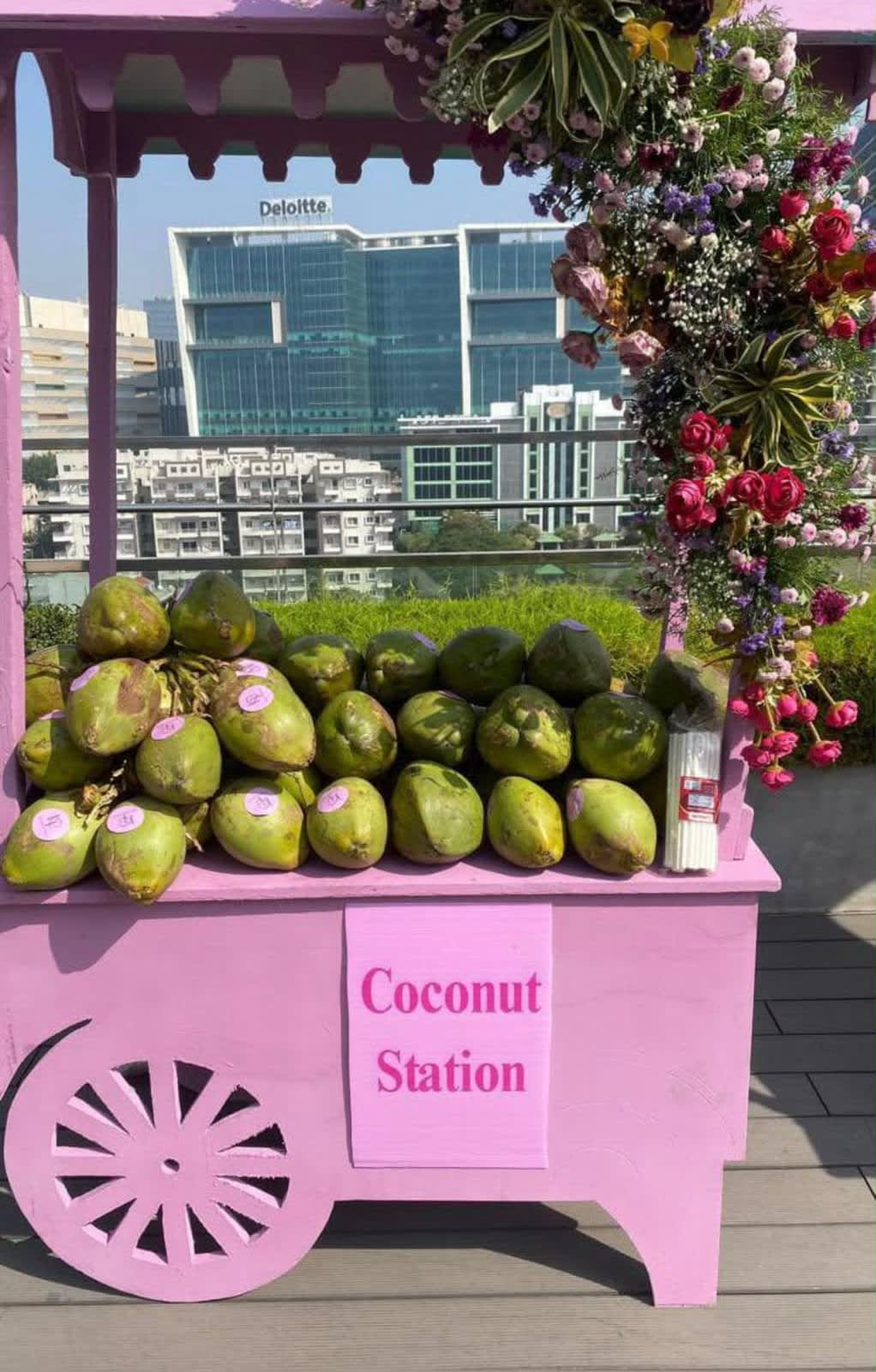 Coconut Station — photo 1
